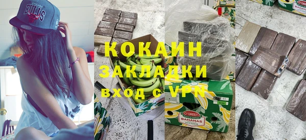 ГАЛЛЮЦИНОГЕННЫЕ ГРИБЫ Елабуга