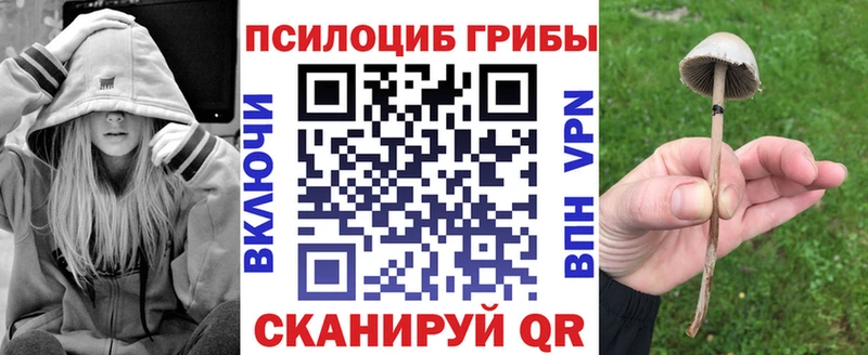 Галлюциногенные грибы GOLDEN TEACHER цены наркотик Изобильный