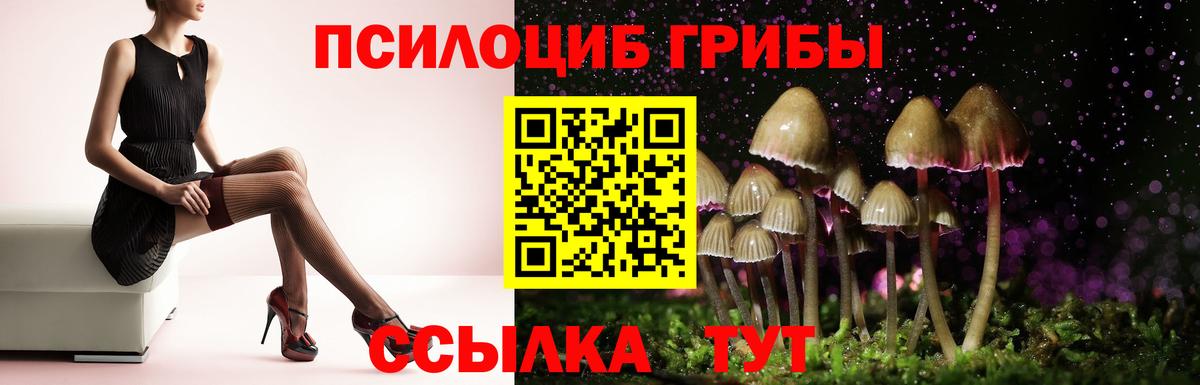 Галлюциногенные грибы прущие грибы  Вход с VPN  где купить   Изобильный  Галлюциногенные грибы GOLDEN TEACHER 